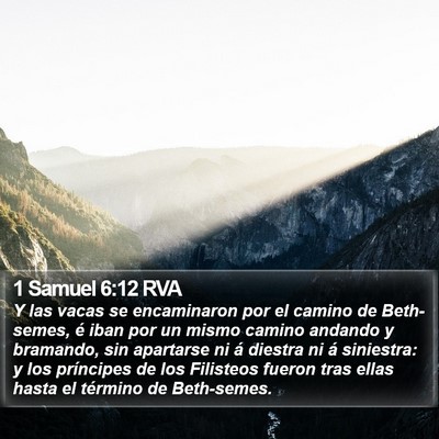 1 Samuel 6:12 RVA Bible Verse Image