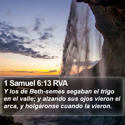 1 Samuel 6:13 RVA Bible Verse Image