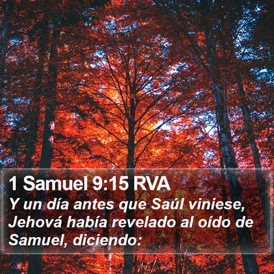 1 Samuel 9:15 RVA Bible Verse Image
