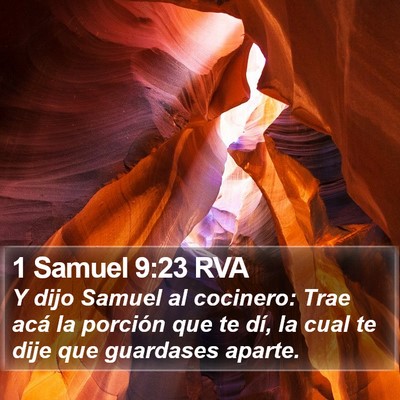 1 Samuel 9:23 RVA Bible Verse Image