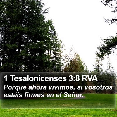 1 Tesalonicenses 3:8 RVA Bible Verse Image