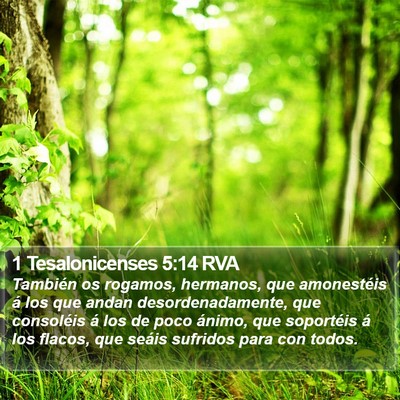 1 Tesalonicenses 5:14 RVA Bible Verse Image