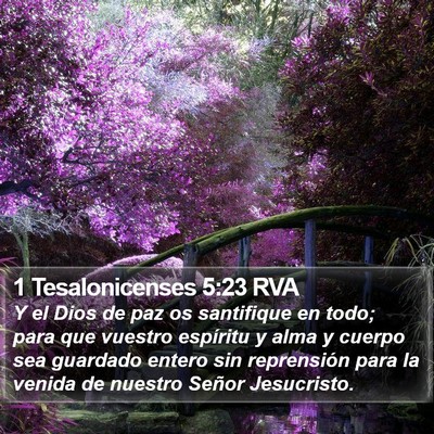 1 Tesalonicenses 5:23 RVA Bible Verse Image