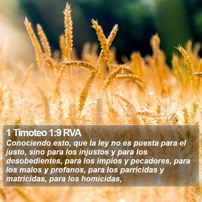 1 Timoteo 1:9 RVA Bible Verse Image