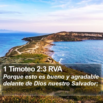 1 Timoteo 2:3 RVA Bible Verse Image
