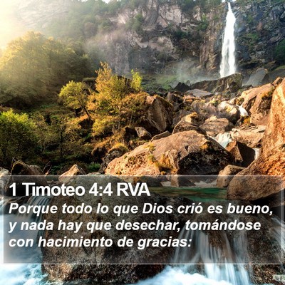 1 Timoteo 4:4 RVA Bible Verse Image