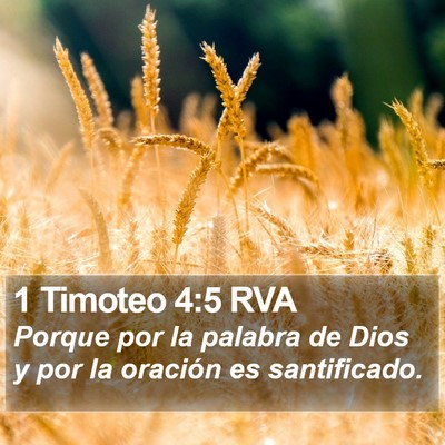 1 Timoteo 4:5 RVA Bible Verse Image