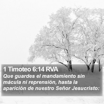 1 Timoteo 6:14 RVA Bible Verse Image