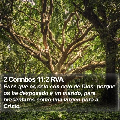 2 Corintios 11:2 RVA Bible Verse Image