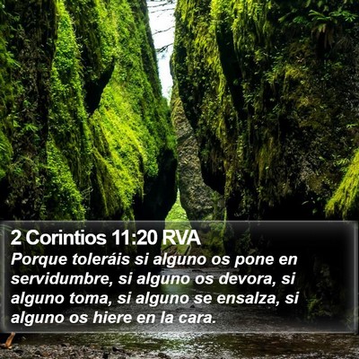 2 Corintios 11:20 RVA Bible Verse Image