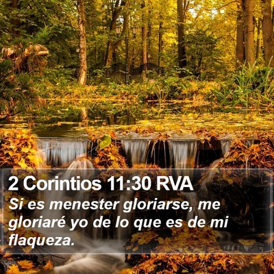 2 Corintios 11:30 RVA Bible Verse Image