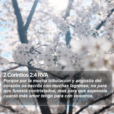 2 Corintios 2:4 RVA Bible Verse Image
