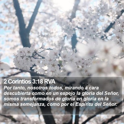2 Corintios 3:18 RVA Bible Verse Image