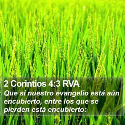 2 Corintios 4:3 RVA Bible Verse Image