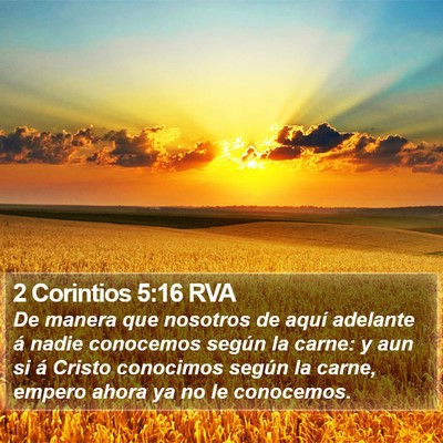 2 Corintios 5:16 RVA Bible Verse Image