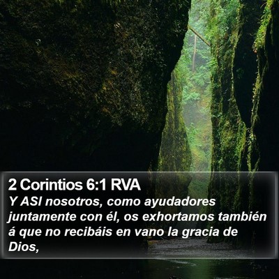 2 Corintios 6:1 RVA Bible Verse Image
