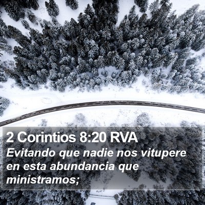 2 Corintios 8:20 RVA Bible Verse Image