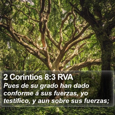 2 Corintios 8:3 RVA Bible Verse Image