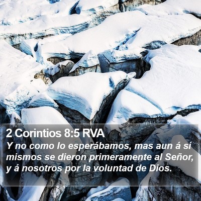 2 Corintios 8:5 RVA Bible Verse Image