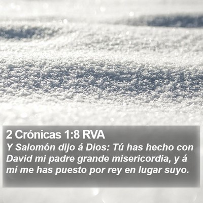 2 Crónicas 1:8 RVA Bible Verse Image