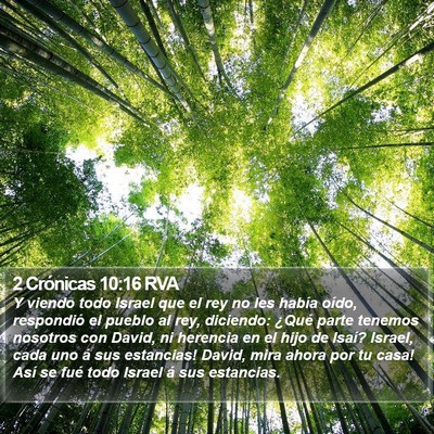 2 Crónicas 10:16 RVA Bible Verse Image