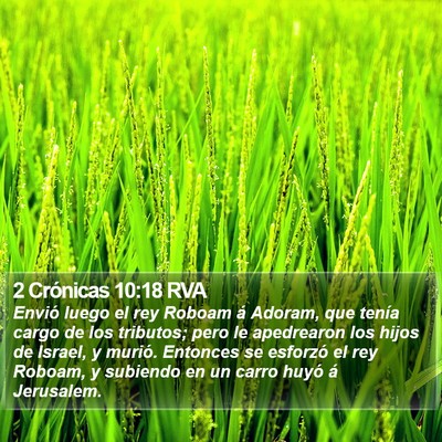 2 Crónicas 10:18 RVA Bible Verse Image