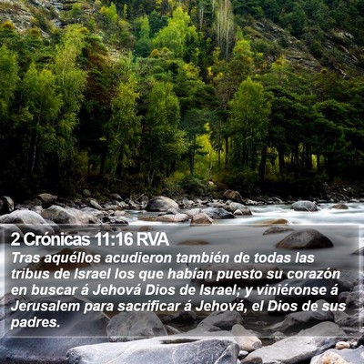 2 Crónicas 11:16 RVA Bible Verse Image