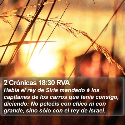 2 Crónicas 18:30 RVA Bible Verse Image