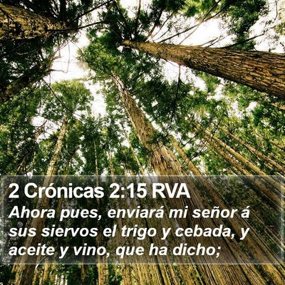 2 Crónicas 2:15 RVA Bible Verse Image