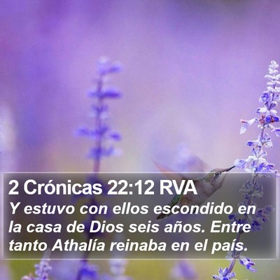 2 Crónicas 22:12 RVA Bible Verse Image
