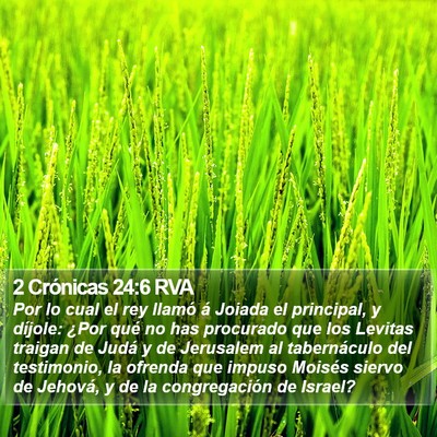 2 Crónicas 24:6 RVA Bible Verse Image