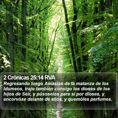2 Crónicas 25:14 RVA Bible Verse Image