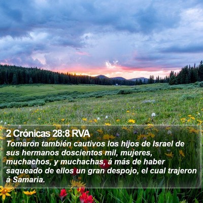 2 Crónicas 28:8 RVA Bible Verse Image