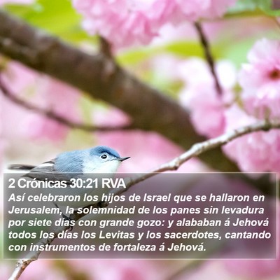 2 Crónicas 30:21 RVA Bible Verse Image
