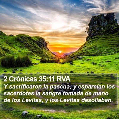 2 Crónicas 35:11 RVA Bible Verse Image