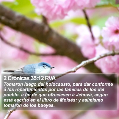 2 Crónicas 35:12 RVA Bible Verse Image