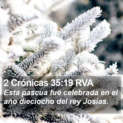 2 Crónicas 35:19 RVA Bible Verse Image