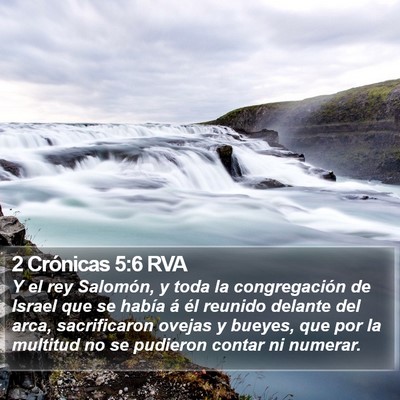 2 Crónicas 5:6 RVA Bible Verse Image