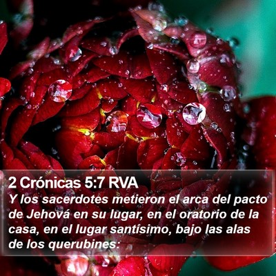 2 Crónicas 5:7 RVA Bible Verse Image