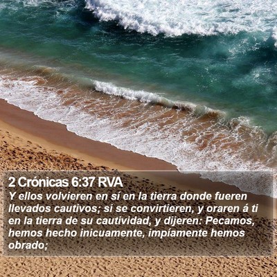 2 Crónicas 6:37 RVA Bible Verse Image