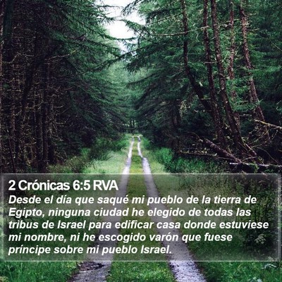 2 Crónicas 6:5 RVA Bible Verse Image