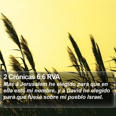 2 Crónicas 6:6 RVA Bible Verse Image