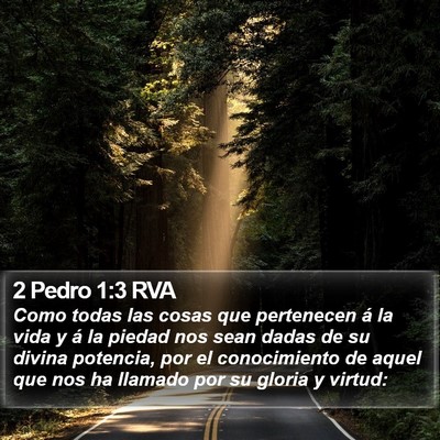 2 Pedro 1:3 RVA Bible Verse Image