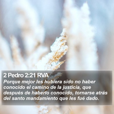 2 Pedro 2:21 RVA Bible Verse Image