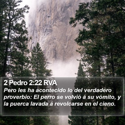 2 Pedro 2:22 RVA Bible Verse Image