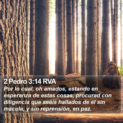 2 Pedro 3:14 RVA Bible Verse Image