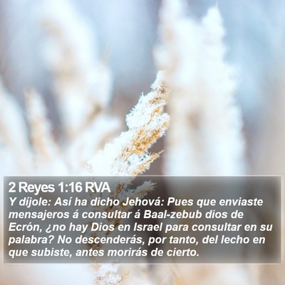 2 Reyes 1:16 RVA Bible Verse Image