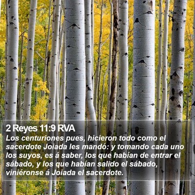 2 Reyes 11:9 RVA Bible Verse Image