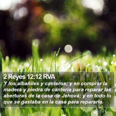 2 Reyes 12:12 RVA Bible Verse Image