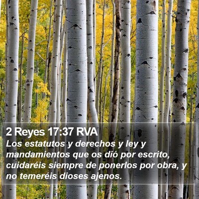2 Reyes 17:37 RVA Bible Verse Image